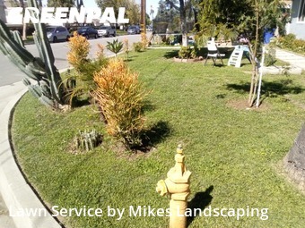 Lawn Mow nearby Duarte, CA, 