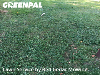 Lawn Cutting nearby Lansing, MI, 