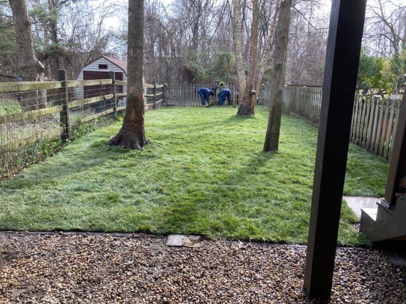 new-generation-lawn-care-services-in-columbia-md
