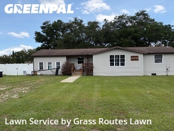 Lawn Mow nearby Belleview, FL, 
