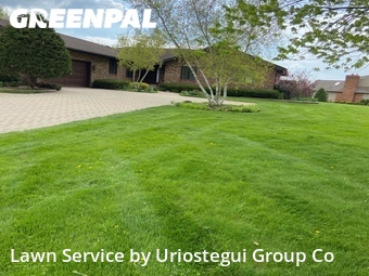 Yard Cutting nearby Wadsworth, IL, 
