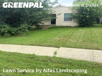 Lawn Mowin Dallas,75220,Lawn Maintenance by Alfas Landscaping, work completed in Jun , 2026