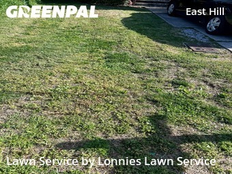 Lawn Mowing nearby Nashville, TN, 