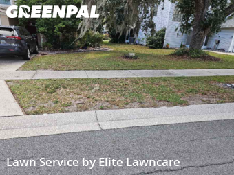 Lawn Mow nearby Tampa, FL, 