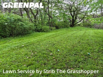 Lawn Cut nearby Shaker Heights, OH, 