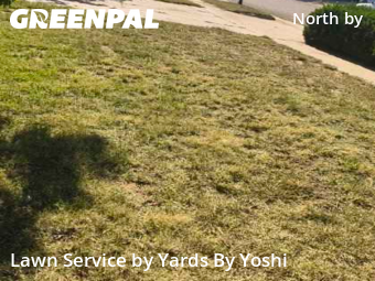 Lawn Cutting nearby Lubbock, TX, 