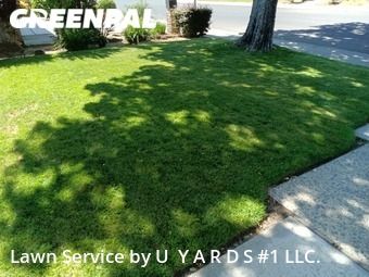 Lawn Cutting nearby Modesto, CA, 