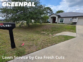 Lawn Mow nearby Ocala, FL, 