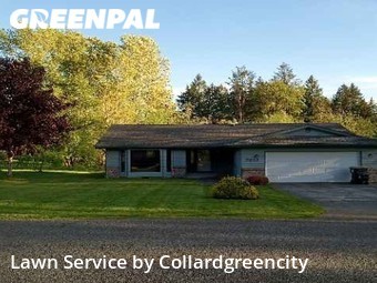 Yard Cutting nearby Olympia, WA, 