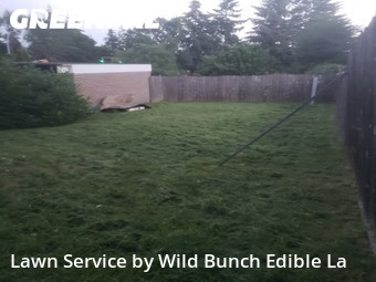 Yard Mowing nearby Renton, WA, 
