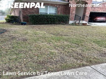 Lawn Mowingin Schertz,78154,Grass Cut by Texas Lawn Care Serv, work completed in Feb , 2026