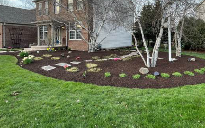 Work Image 1