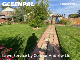 Yard Mowing nearby Denver, CO, 