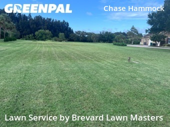 Grass Cut nearby Merritt Island, FL, 