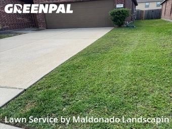 Grass Cut nearby Katy, TX, 