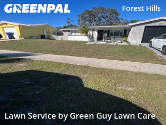 Yard Upkeep in Holiday, 34690, Yard Work by Green Guy Lawn Care, work completed in Dec , 2025