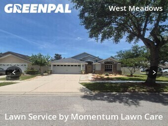 Lawn Cut nearby Tampa, FL, 