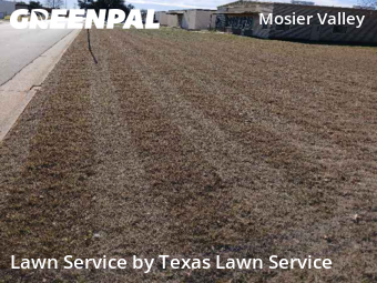 Grass Cutin Euless,76040,Lawn Mowing Service by Texas Lawn Service, work completed in Feb , 2026