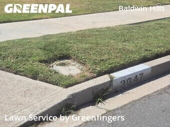 Work completed by local-landscaping-services-in in Los Angeles, CA
