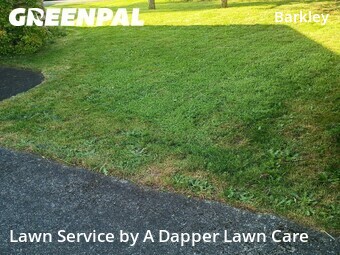 Lawn mowed in Bellingham, 98226