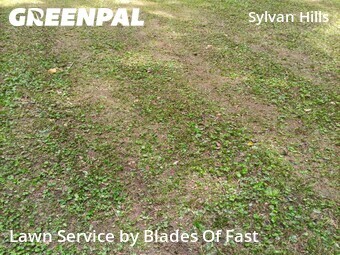 Grass Cutting nearby Atlanta, GA, 