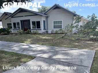 Grass Cut nearby St. Petersburg, FL, 