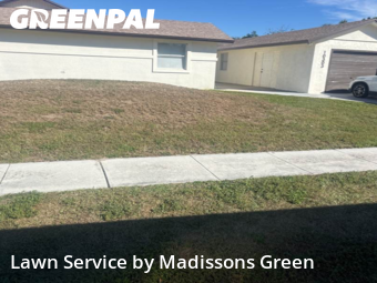 Lawn mowed in Royal Palm Beach, 33411