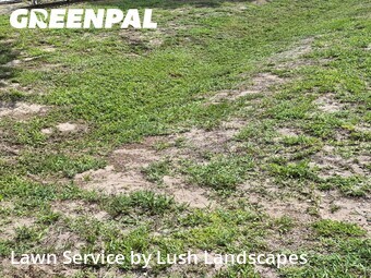 Lawn Mowing Service nearby Fort Myers, FL, 