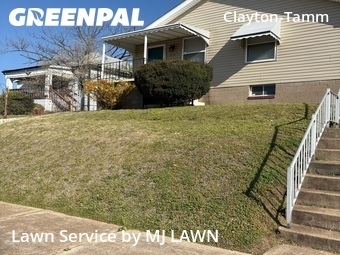 Grass Cut nearby St. Louis, MO, 