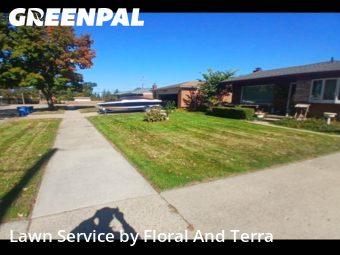 Grass Cut nearby Warren, MI, 