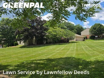Lawn Service nearby Cincinnati, OH, 