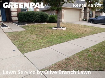 Lawn Servicein Fort Worth,76177,Lawn Service by Olive Branch Lawn, work completed in Dec , 2025