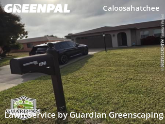 Grass Cutting nearby Cape Coral, FL, 