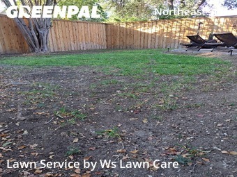 Yard Mowing nearby Converse, TX, 