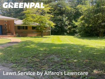 Grass Cut nearby Monroe, NC, 