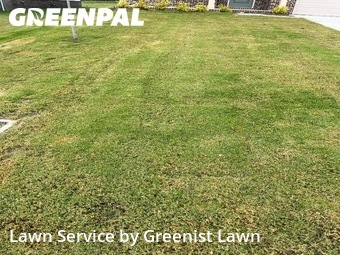 Lawn Cut nearby Spring Hill, TN, 