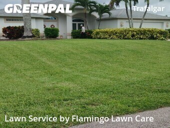 Lawn Cut nearby Cape Coral, FL, 