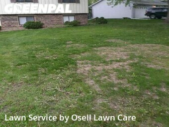 Lawn Service nearby Maple Grove, MN, 