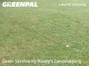 Lawn Mowing Service nearby Galloway, OH, 