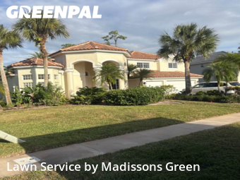 Yard Work in Wellington, 33414, Lawn Work by Madissons Green, work completed in Dec , 2025