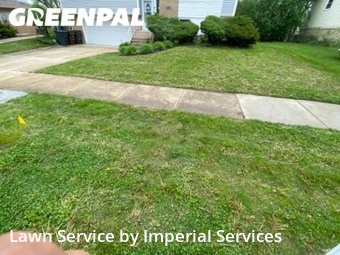 Grass Cutting nearby Oak Forest, IL, 