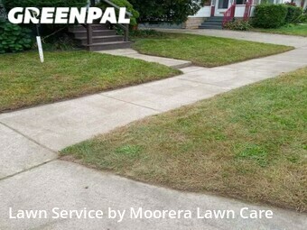 Lawn Care nearby Ferndale, MI, 
