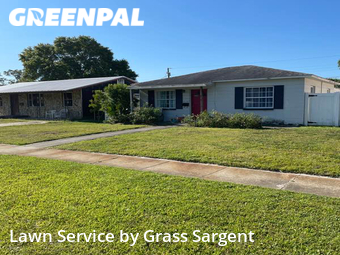 Grass Cut nearby St. Petersburg, FL, 