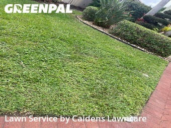 Lawn mowed in Wellington, 33449