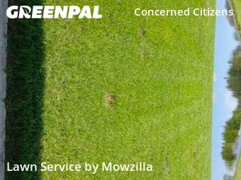 Yard Cutting nearby Gibsonton, FL, 