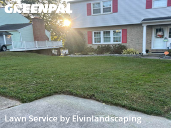 Grass Services in Parkville, 21234, Yard Upkeep by Elvinlandscaping, work completed in Oct , 2025