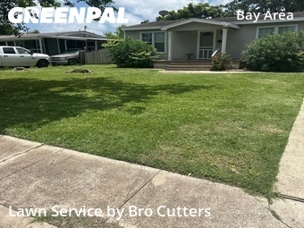 Backyard Landscaping In Corpus Christi,78411,Landscaping Cleanup by Bro Cutters, work completed in Jun , 2026