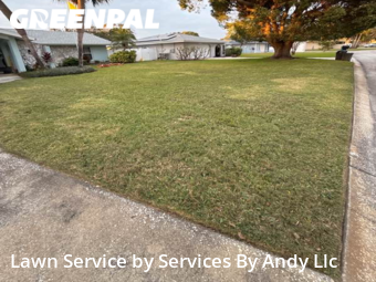 Grass Cut nearby Largo, FL, 