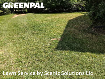 Lawn Cutting nearby Middle River, MD, 