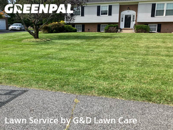 Grass Cut nearby Bear, DE, 